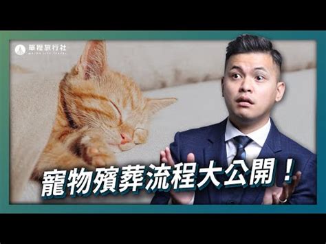 小動物死掉怎麼處理|家中寵物(狗狗/貓)過世身後事處理教學，委託單位與寵。